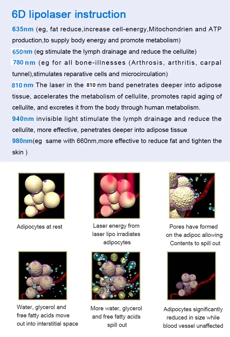 Máquina de liposucción con liposucción láser de 6D con 635nm 650nm 780nm 810nm 940nm 980nm 1